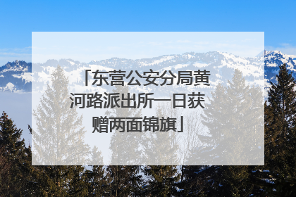 东营公安分局黄河路派出所一日获赠两面锦旗