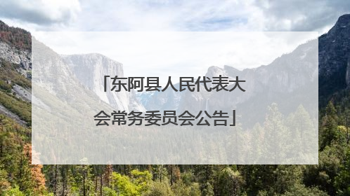 东阿县人民代表大会常务委员会公告