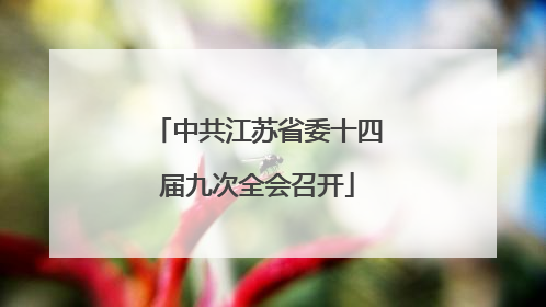 中共江苏省委十四届九次全会召开