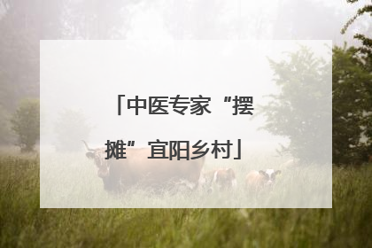 中医专家“摆摊”宜阳乡村