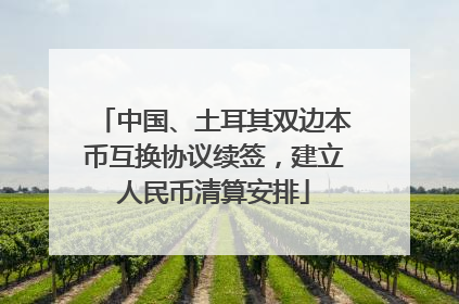 中国、土耳其双边本币互换协议续签，建立人民币清算安排