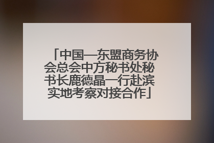 中国—东盟商务协会总会中方秘书处秘书长鹿德晶一行赴滨实地考察对接合作