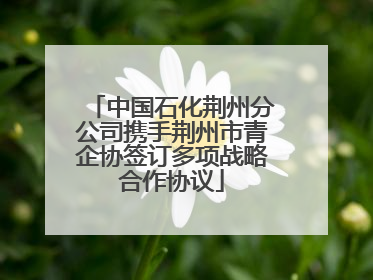 中国石化荆州分公司携手荆州市青企协签订多项战略合作协议