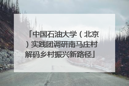 中国石油大学（北京）实践团调研南马庄村解码乡村振兴新路径