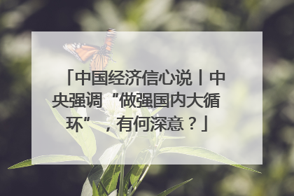 中国经济信心说丨中央强调“做强国内大循环”，有何深意？