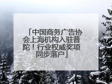 中国商务广告协会上海机构入驻普陀！行业权威奖项同步落户