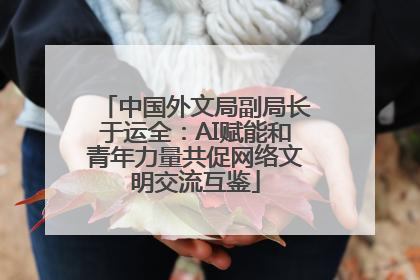 中国外文局副局长于运全：AI赋能和青年力量共促网络文明交流互鉴
