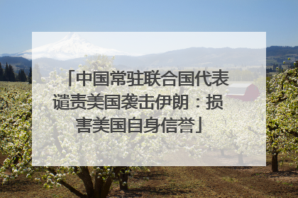 中国常驻联合国代表谴责美国袭击伊朗：损害美国自身信誉