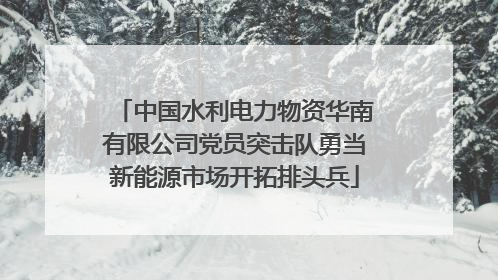 中国水利电力物资华南有限公司党员突击队勇当新能源市场开拓排头兵