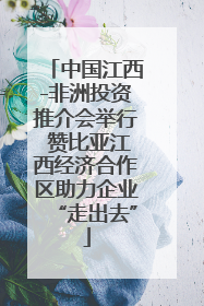 中国江西-非洲投资推介会举行 赞比亚江西经济合作区助力企业“走出去”