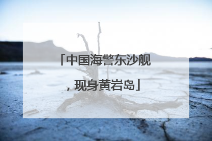 中国海警东沙舰，现身黄岩岛