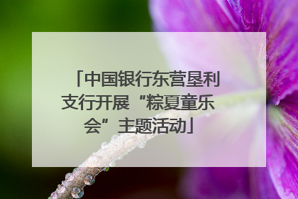 中国银行东营垦利支行开展“粽夏童乐会”主题活动