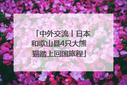 中外交流丨日本和歌山县4只大熊猫踏上回国旅程