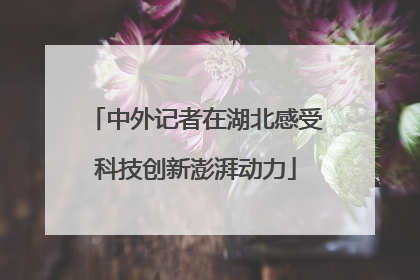 中外记者在湖北感受科技创新澎湃动力