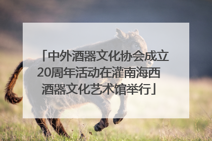 中外酒器文化协会成立20周年活动在灌南海西酒器文化艺术馆举行