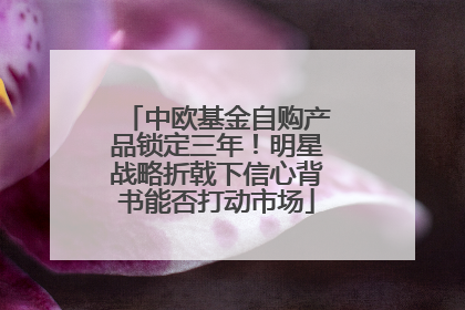 中欧基金自购产品锁定三年！明星战略折戟下信心背书能否打动市场