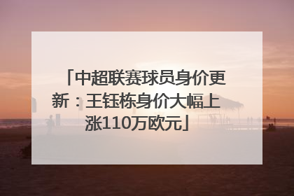 中超联赛球员身价更新：王钰栋身价大幅上涨110万欧元