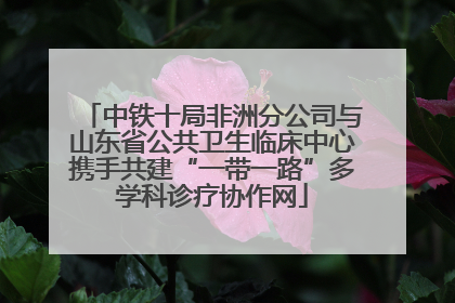 中铁十局非洲分公司与山东省公共卫生临床中心携手共建“一带一路”多学科诊疗协作网