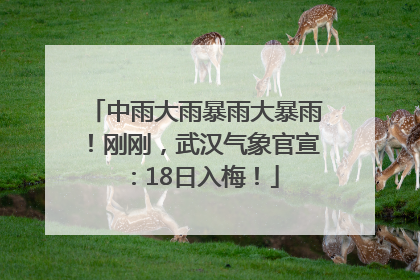 中雨大雨暴雨大暴雨！刚刚，武汉气象官宣：18日入梅！