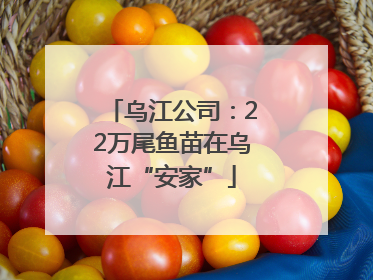 乌江公司：22万尾鱼苗在乌江“安家”