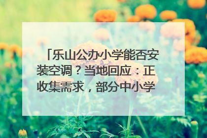 乐山公办小学能否安装空调？当地回应：正收集需求，部分中小学已启动安装｜云求助