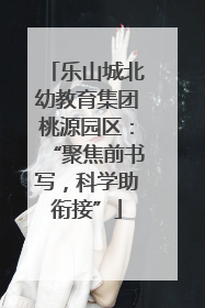 乐山城北幼教育集团桃源园区：“聚焦前书写，科学助衔接”