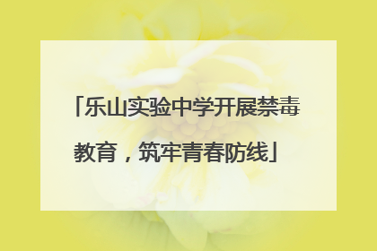 乐山实验中学开展禁毒教育，筑牢青春防线