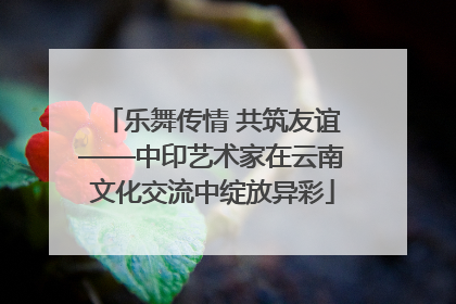 乐舞传情 共筑友谊——中印艺术家在云南文化交流中绽放异彩