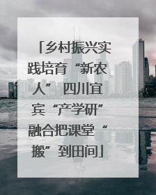 乡村振兴实践培育“新农人” 四川宜宾“产学研”融合把课堂“搬”到田间