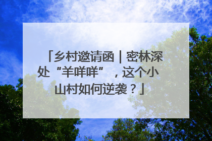 乡村邀请函｜密林深处“羊咩咩”，这个小山村如何逆袭？