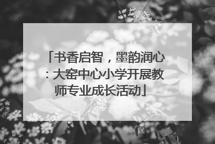 书香启智，墨韵润心：大窑中心小学开展教师专业成长活动