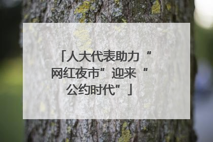 人大代表助力“网红夜市”迎来“公约时代”