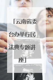 云南省委台办举行民法典专题讲座