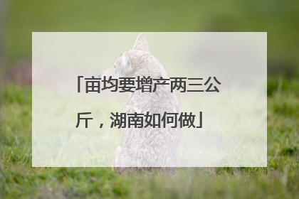 亩均要增产两三公斤，湖南如何做