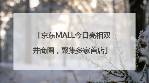 京东MALL今日亮相双井商圈，聚集多家首店