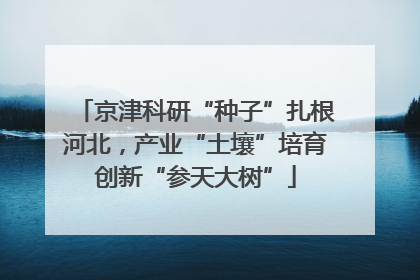 京津科研“种子”扎根河北，产业“土壤”培育创新“参天大树”