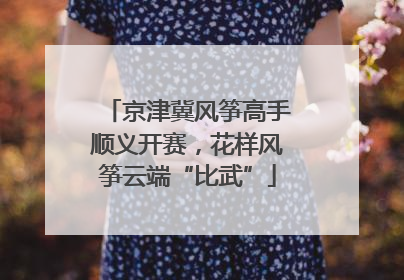 京津冀风筝高手顺义开赛，花样风筝云端“比武”