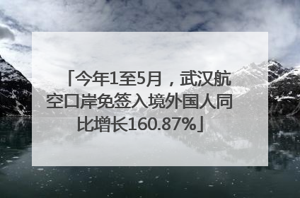今年1至5月，武汉航空口岸免签入境外国人同比增长160.87%