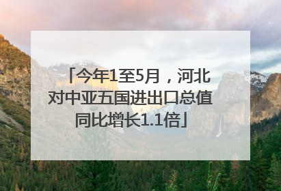 今年1至5月，河北对中亚五国进出口总值同比增长1.1倍