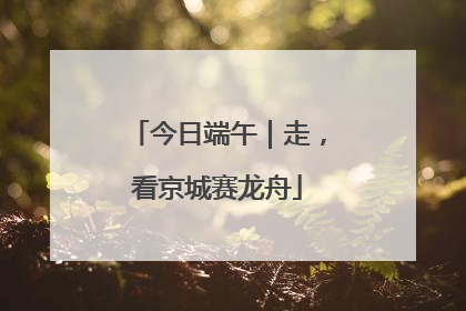 今日端午｜走，看京城赛龙舟