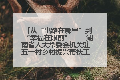 从“出路在哪里”到“幸福在眼前”——湖南省人大常委会机关驻五一村乡村振兴帮扶工作队书写振兴答卷