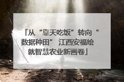从“靠天吃饭”转向“数据种田” 江西安福绘就智慧农业新画卷