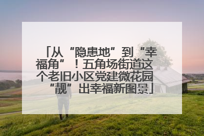 从“隐患地”到“幸福角”！五角场街道这个老旧小区党建微花园“靓”出幸福新图景