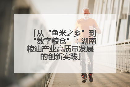 从“鱼米之乡”到“数字粮仓”：湖南粮油产业高质量发展的创新实践