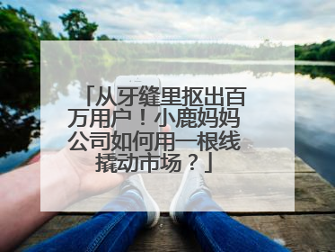 从牙缝里抠出百万用户！小鹿妈妈公司如何用一根线撬动市场？