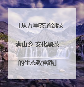 从万里茶道到绿满山乡 安化黑茶的生态致富路