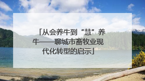 从会养牛到“慧”养牛——聊城市畜牧业现代化转型的启示