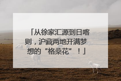 从徐家汇源到日喀则，沪藏两地开满梦想的“格桑花”！