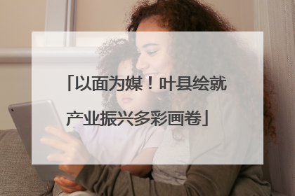 以面为媒！叶县绘就产业振兴多彩画卷