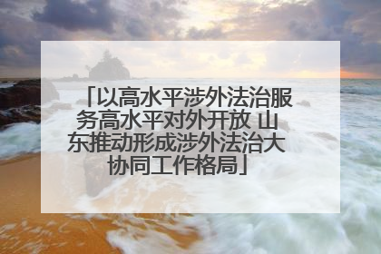 以高水平涉外法治服务高水平对外开放 山东推动形成涉外法治大协同工作格局